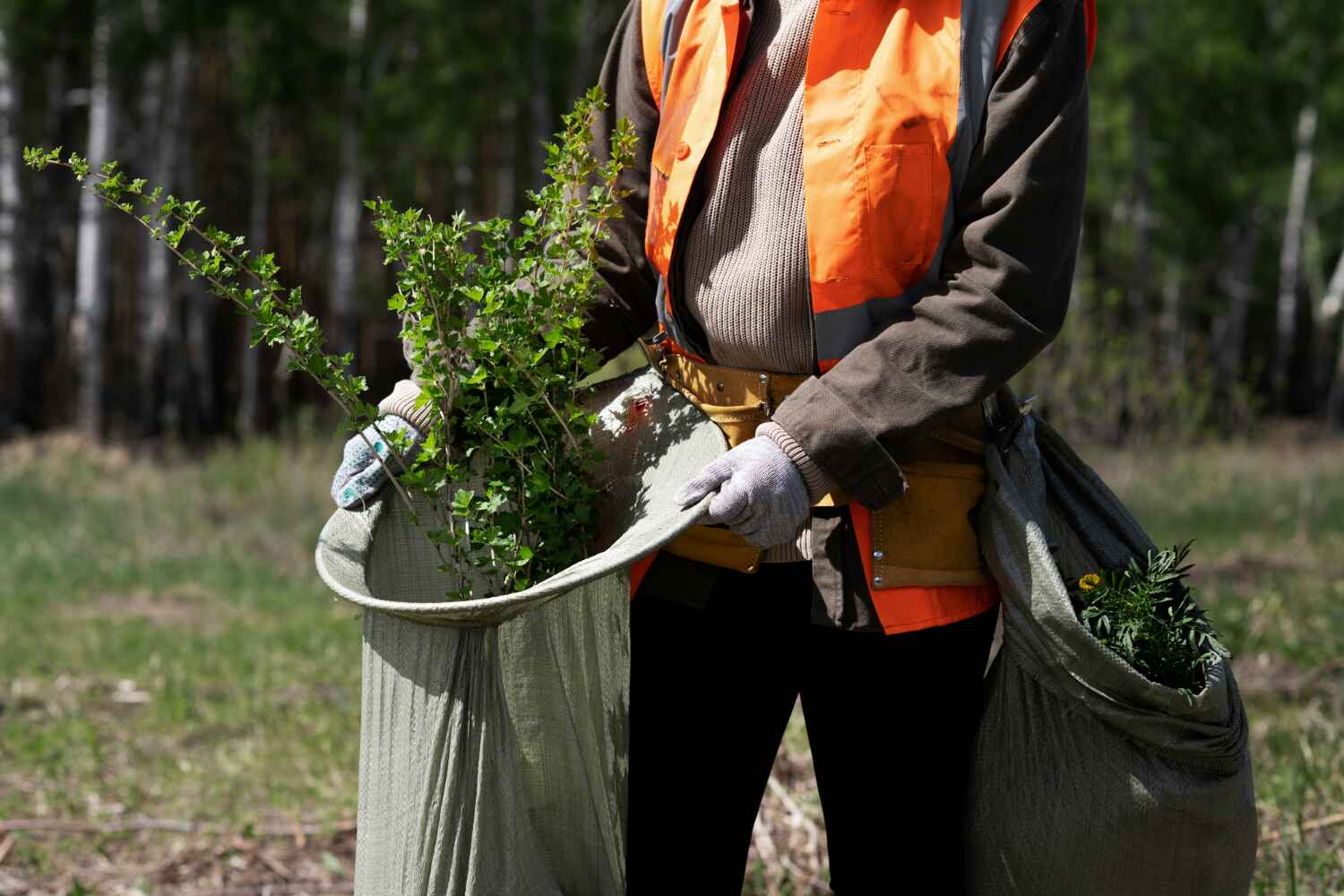 Best Commercial Tree Services  in Mount Holly Springs, PA